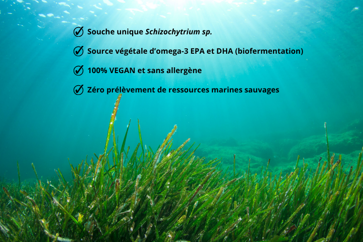 EPA/DHA Green® Une source unique d’EPA d’origine végétale et éco-responsable 